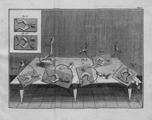 Los 1059 - Galvani, Luigi Aloysio - Abhandlungen über die Kräfte der thierischen Elektrizität  - 0 - thumb