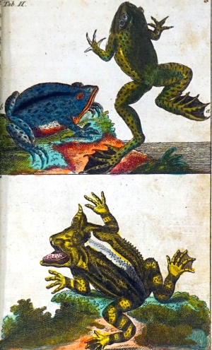 Lot 1120, Auction  124, Wilhelm, Gottlieb Tobias, Unterhaltungen aus der Naturgeschichte. Der Fische erster Theil. 