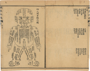 Los 1692 - Akupunktur-Lehrbuch - Zengbǔ huì tú zhēn jiǔ dà chéng. Supplementband eines umfassenden Akupunkturkompendiums - 0 - thumb