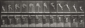 Los 4058 - Muybridge, Eadweard - Animal Locomotion. An Electrophotographic Investigation of Consecutive Phases of Animal Movements - 3 - thumb