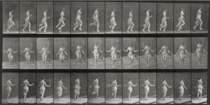 Los 4058 - Muybridge, Eadweard - Animal Locomotion. An Electrophotographic Investigation of Consecutive Phases of Animal Movements - 4 - thumb