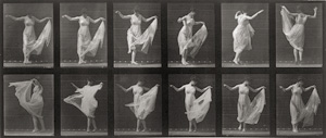 Los 4058 - Muybridge, Eadweard - Animal Locomotion. An Electrophotographic Investigation of Consecutive Phases of Animal Movements - 5 - thumb