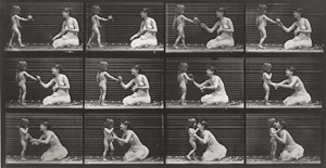 Los 4058 - Muybridge, Eadweard - Animal Locomotion. An Electrophotographic Investigation of Consecutive Phases of Animal Movements - 6 - thumb