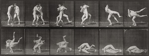 Los 4058 - Muybridge, Eadweard - Animal Locomotion. An Electrophotographic Investigation of Consecutive Phases of Animal Movements - 7 - thumb