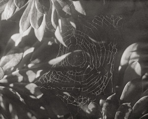 Lot 4216, Auction  124, Landauer, Lou, Spider web 