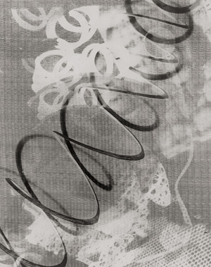 Lot 4248, Auction  124, Niedringhaus, Charles W., Untitled (photogram)