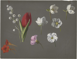 Lot 6630, Auction  124, Libert, Betzy Marie Petrea, Studienblatt mit Maiglöckchen, roter Tulpe, Kapuzinerkresse, Nelken und Apfelblüten