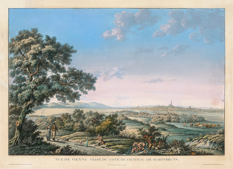 Lot 145, Auction  124, Vue de Vienne, prise du coté du chateau de Schönbrunn