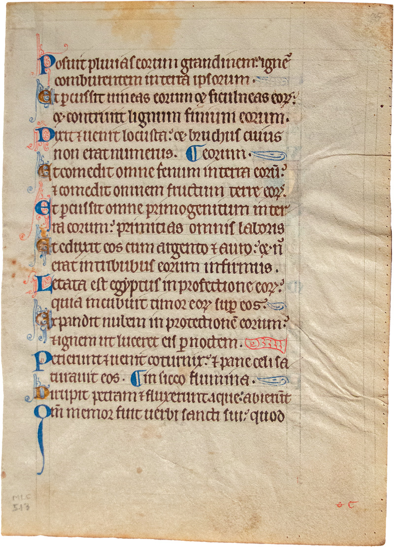 Lot 839, Auction  124, Lesepultbibel, Lateinische Handschrift auf Pergament