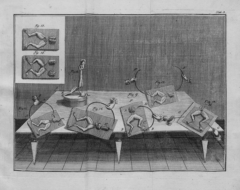 Lot 1059, Auction  124, Galvani, Luigi Aloysio, Abhandlungen über die Kräfte der thierischen Elektrizität 