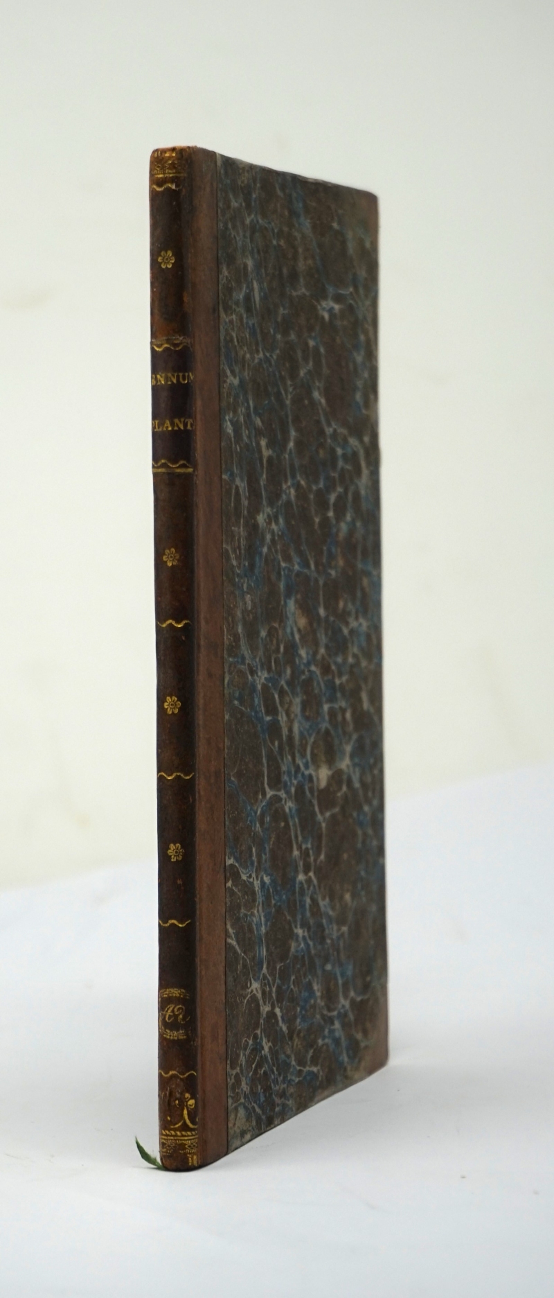 Lot 1106, Auction  124, Portenschlag-Ledermayer, Franz von, Enumeratio plantarum in Dalmatia lectarum