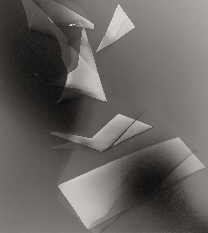 Lot 4127, Auction  124, Field, Lois, Untitled (photogram)