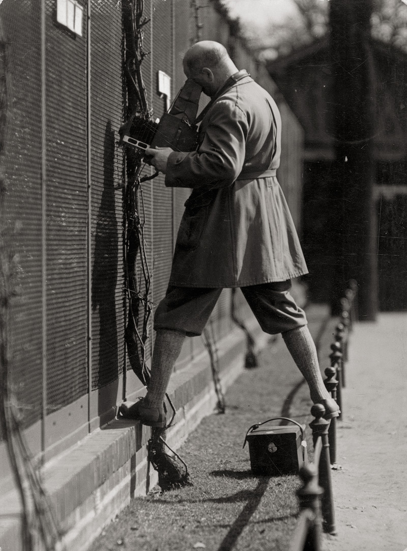 Lot 4275, Auction  124, Seidenstücker, Friedrich, The actor and photographer Julius Arnfeld at work at the Berlin Zoo