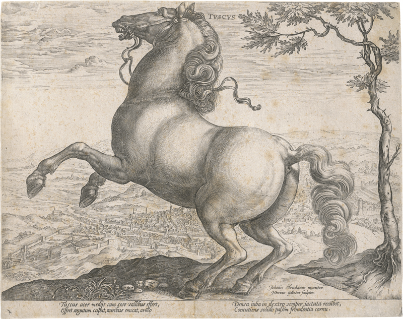 Lot 5547, Auction  124, Goltzius, Hendrick, Tuscus (Aufsteigender Hengst)