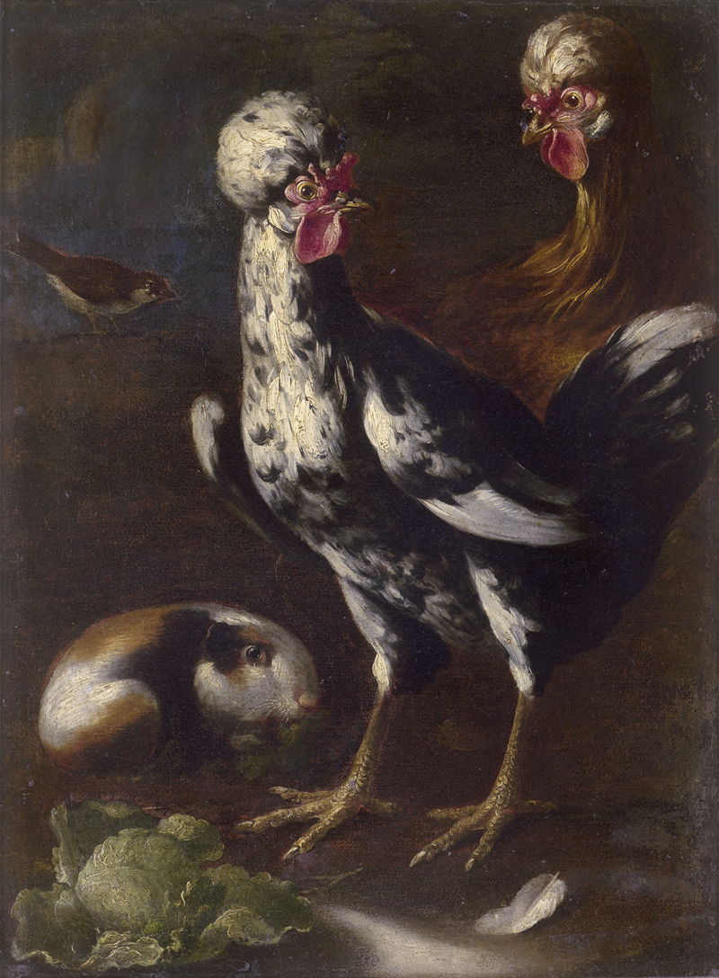 Lot 6019, Auction  124, Cassana, Giovanni Agostino - Umkreis, Hühner, ein Meerschweinchen und ein Singvogel