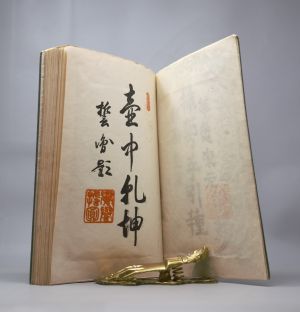 Los 528 - Handbuch für Zimmerpflanzen-Arrangements - Meiji-Blockbuch. Wohl Tokio, Meiji um 1852 - 2 - thumb