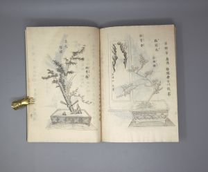Los 528 - Handbuch für Zimmerpflanzen-Arrangements - Meiji-Blockbuch. Wohl Tokio, Meiji um 1852 - 3 - thumb