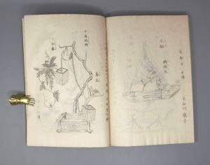 Los 528 - Handbuch für Zimmerpflanzen-Arrangements - Meiji-Blockbuch. Wohl Tokio, Meiji um 1852 - 4 - thumb