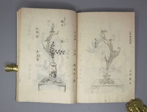 Los 528 - Handbuch für Zimmerpflanzen-Arrangements - Meiji-Blockbuch. Wohl Tokio, Meiji um 1852 - 5 - thumb
