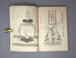 Los 528 - Handbuch für Zimmerpflanzen-Arrangements - Meiji-Blockbuch. Wohl Tokio, Meiji um 1852 - 6 - thumb