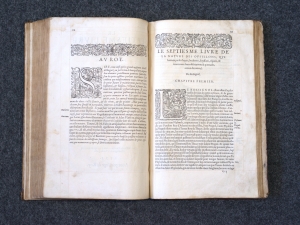 Los 715 - Belon, Pierre - L'histoire de la nature des Oyseaux. Paris, B. Prevost für Guillaume Cavellat, 1555 - 12 - thumb