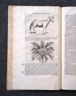 Los 826 - Léger, Jean - L'histoire générale. Leiden, Jean le Carpentier, 1669 - 9 - thumb