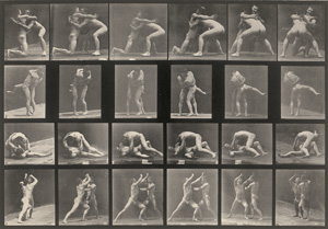 Los 4064 - Muybridge, Eadweard - Animal Locomotion. An Electrophotographic Investigation of Consecutive Phases of Animal Movements - 1 - thumb