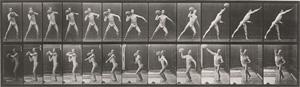Los 4064 - Muybridge, Eadweard - Animal Locomotion. An Electrophotographic Investigation of Consecutive Phases of Animal Movements - 2 - thumb
