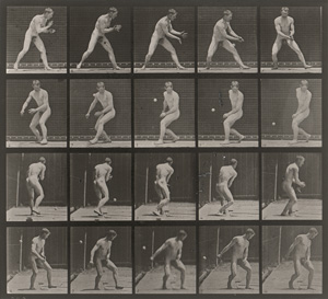 Los 4064 - Muybridge, Eadweard - Animal Locomotion. An Electrophotographic Investigation of Consecutive Phases of Animal Movements - 3 - thumb