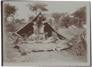 Los 4114 - Deutsch- and British Ostafrika - Views of Africa, Egypt and India - 2 - thumb