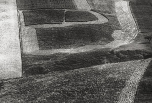 Los 4151 - Giacomelli, Mario - Untitled - 0 - thumb