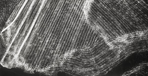 Los 4153 - Giacomelli, Mario - Untitled - 0 - thumb