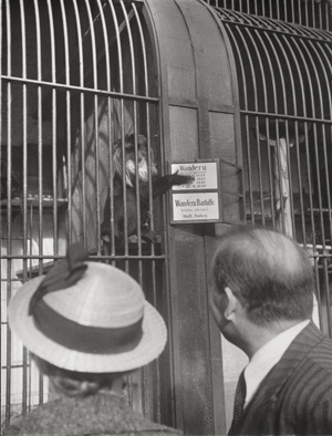Los 4256 - Seidenstücker, Friedrich - Zoo visitors, Zoologischer Garten, Berlin - 0 - thumb