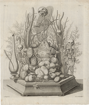 Lot 5280, Auction  125, Huyberts, Cornelis, Diorama mit Skeletten und Organen