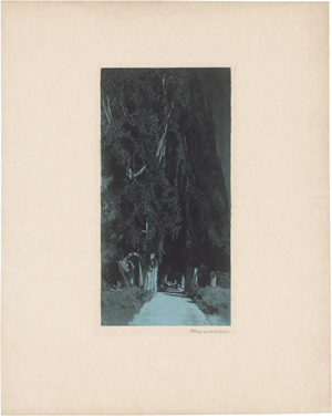 Lot 5419, Auction  125, Gesellschaft für vervielfältigende Kunst in Wien, Jahresmappe 1900