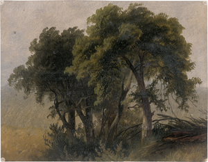 Lot 6079, Auction  125, Düsseldorfer Schule, um 1835. Wiesenlandschaft mit kleinem Gehölz