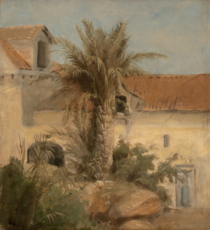 Los 6112 - Plum, August - Palme vor einem Haus in Medina - 0 - thumb