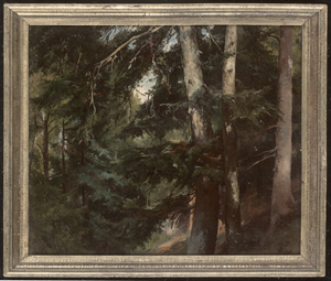 Los 6192 - Preller d. J., Friedrich - "Burgk an der Saalquelle Edelltauern": Waldidyll bei Schloss Burgk - 1 - thumb