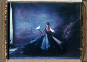 Lot 6643, Auction  125, Naundorf, Cathleen, Noah's Ark XIII (8), haute couture Dior Summer 2012 Collection