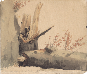 Lot 6886, Auction  125, Skovgaard, Peter Christian Thamsen, "Jægersborg Dyrehave": Baumstudie