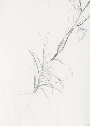 Lot 7337, Auction  125, Moritz, Sabine, Lilie