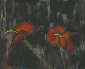 Los 8382 - Pels-Leusden, Hans - Anthurie - 0 - thumb