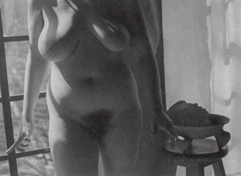 Lot 4078, Auction  125, Álvarez Bravo, Manuel, Untitled (Salomé), from the portfolio "Diez Desnudos - Ten Nudes" (1980)