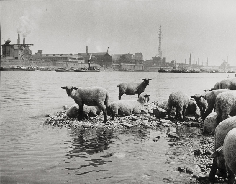 Lot 4187, Auction  125, Kilian, Hannes, Bei Duisburg