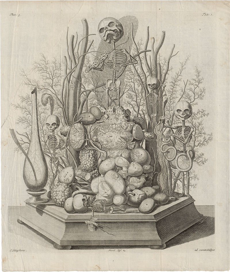 Lot 5280, Auction  125, Huyberts, Cornelis, Diorama mit Skeletten und Organen