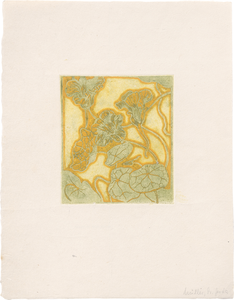 Lot 5429, Auction  125, Illies, Arthur, Kapuzinerkresse