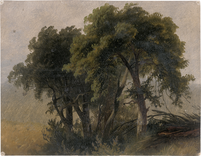 Lot 6079, Auction  125, Düsseldorfer Schule, um 1835. Wiesenlandschaft mit kleinem Gehölz