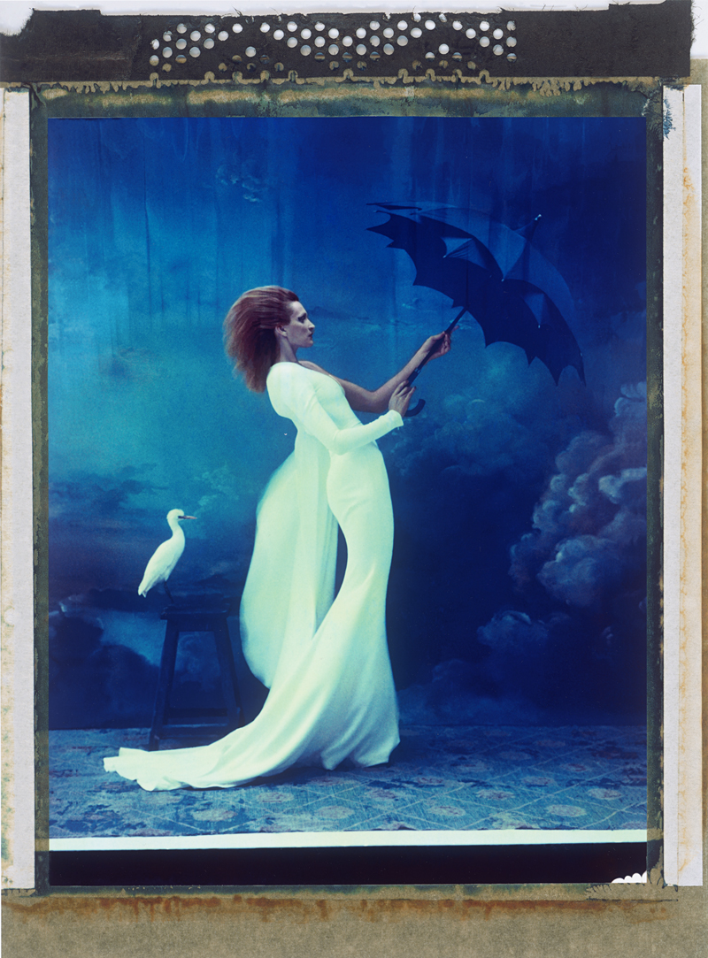 Lot 6644, Auction  125, Naundorf, Cathleen, Just Like a Dream (12), couture Stéphane Rolland été  2014