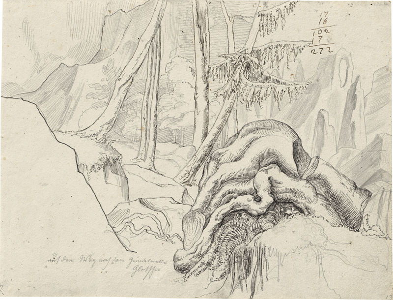 Lot 6806, Auction  125, Rohden, Johann Martin von, Waldpartie mit Wurzelwerk auf dem Weg zum Grindelwaldgletscher