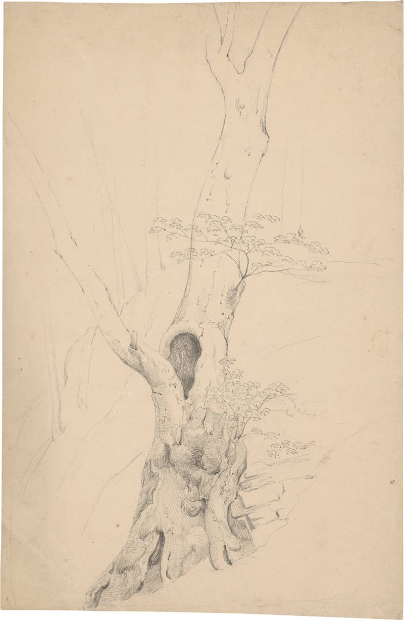 Lot 6825, Auction  125, Dreber, Heinrich - Umkreis, Knorriger Baum am Hang